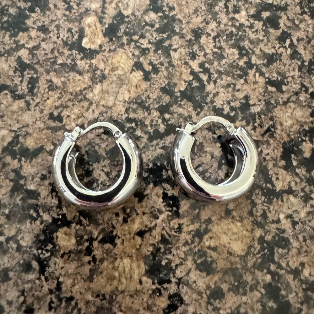 Banana Republic Chunky Silver Hoop Earrings